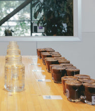 Load image into Gallery viewer, Q Arabica Grader Course, October 5-10, 2026